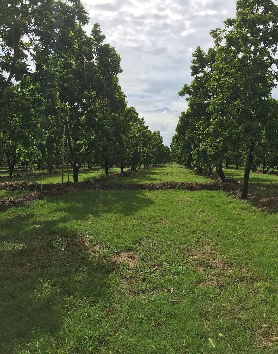 Hermosa Finca En Valverde Mao